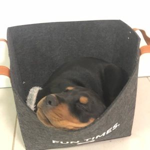 Meet your Posher, Chris and jo